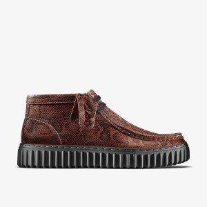 Botas Clarks Martine Rose Torhill Hi Brown Snake Mujer Marrones Serpent | BENZ-30627